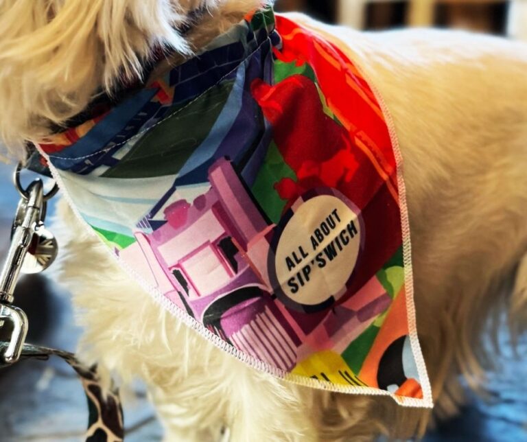 A photo of a dog wearing a Sip'Swich Pub Trail Prize