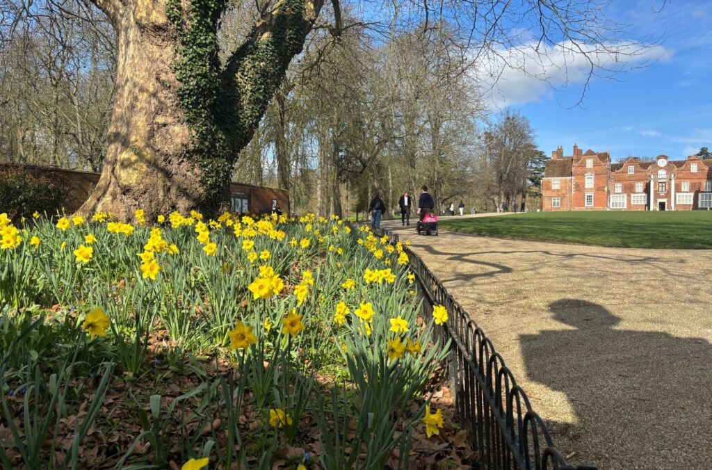 A photo of Ipswich this March