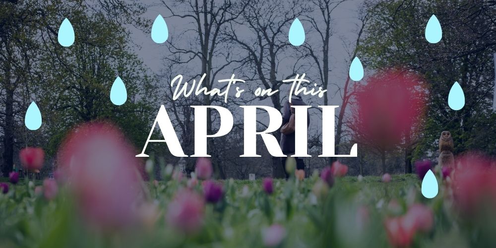 What's On This April? - All About Ipswich